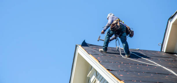 Best Storm Damage Roof Repair  in Pamplico, SC
